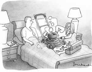 mower1.gif