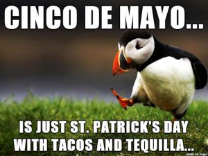 cinco-de-mayo-memes-14.jpg