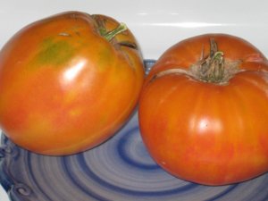 IMG_3861.jpg