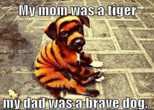 My-Mom-Was-A-Tiger.jpg
