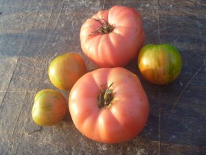 heirloomT.jpg