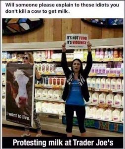 FB_IMG_1525980248857.jpg