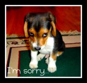 I am sorry.jpg