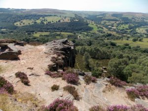 millstone edge.JPG