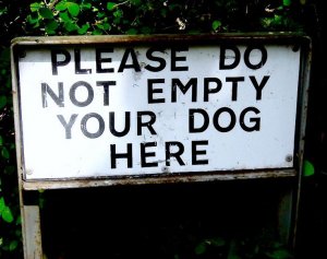c579a163bb5faddb178d14e1a92d12e0--your-dog-warning-signs.jpg