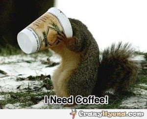 need-morning-coffee-squirrel-photo.jpg