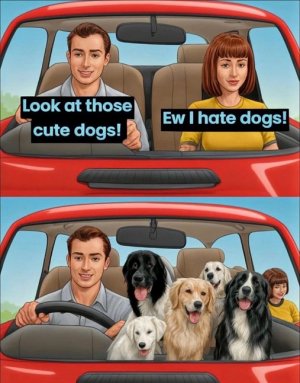 dogs.jpg