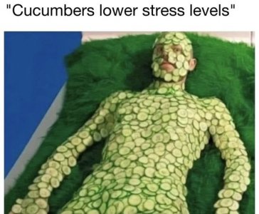 stress.jpg