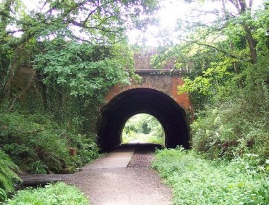 walk1.jpg