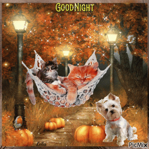 cats.dog.goodnight.gif