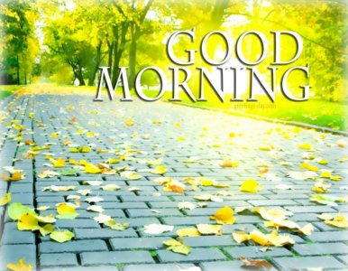 good-morning-images-quotes-1024x797.jpg