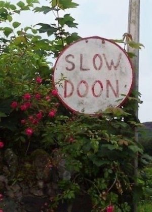 IMG_1477.jpeg