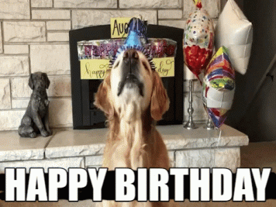 bday.barkingdog.gif
