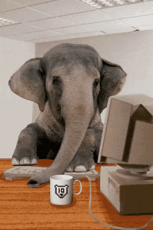 548a932fc2588b60e11252be64cf1253.gif