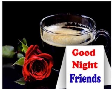 Good Night rose.jpeg