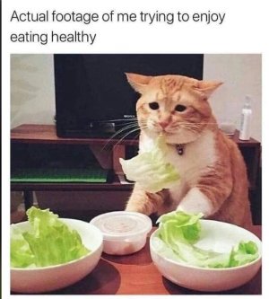 mujythrh.jpg