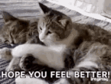 feel-better-soon-hope-you-feel-better.gif