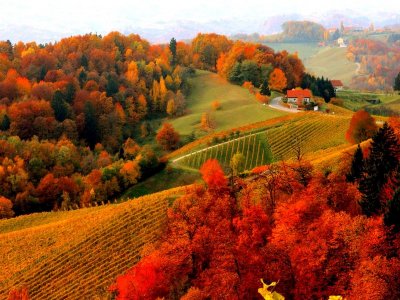 autum.jpg