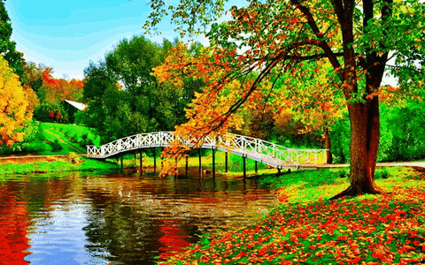 autumn-gif.gif