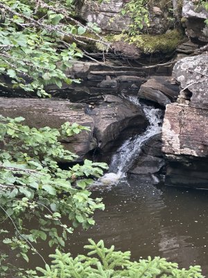 IMG_5624.jpeg