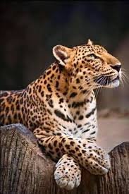 IMG_5649.jpeg