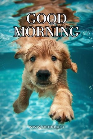 4dbd42d3f3bb8c3c40c1b414c767c0cc[1].jpg