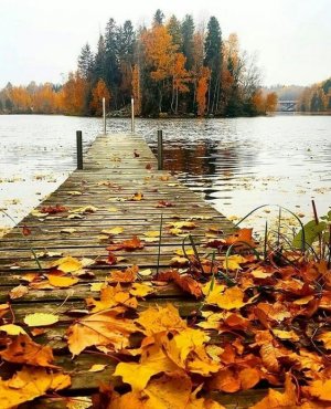 FALLdock.jpg