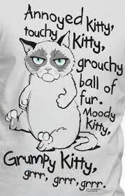 grumpykitty.jpg