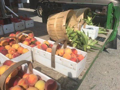 Peaches & Corn 2024.jpg