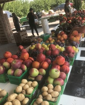 Fruit & Veggies 2024.jpg