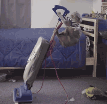 cat-cleaningup.gif