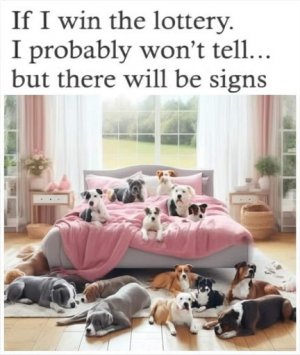 signs.jpg