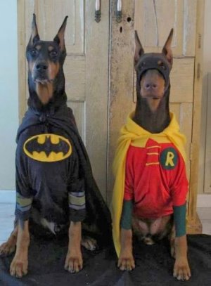 Batman & Robin.jpg