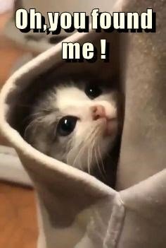 ohyou-found-me.jpg