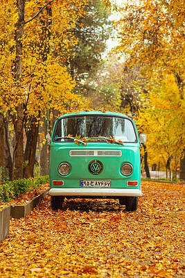 vwautumn.jpg