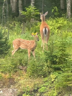 IMG_8030.jpeg