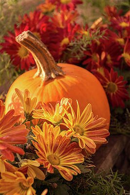 flowerypumpkin.jpg