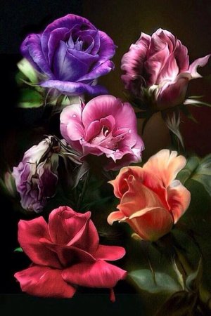 condolence roses.jpg