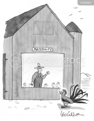 eggmaternity.jpg