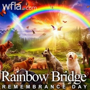 rainbow bridge.jpg
