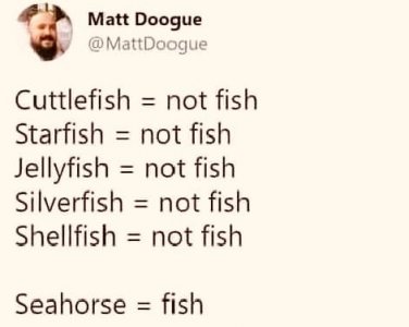 457107075_26411477985166378_4387513796728798285_n.jpg