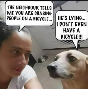 FB_IMG_1724681117553.jpg