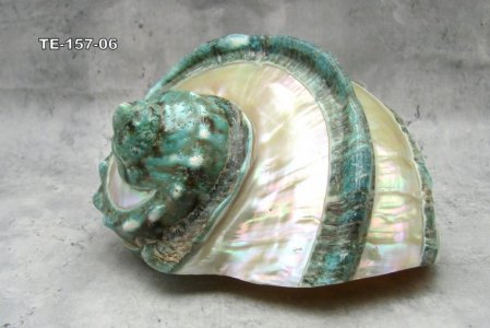 c0127b32-adc7-42e2-a955-863d7944f6bc__59086.jpg