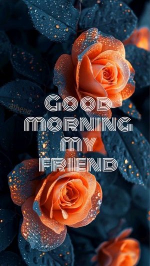 89dd2efd08dce50c96fd4ead8ba6d9f1[1].jpg