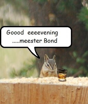 meeester bond.jpg