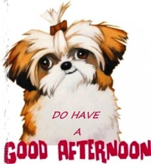 good_afternoon_comment_graphic_03gif.jpeg