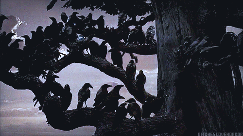 crowsmurder.gif