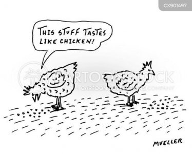chickens-hens-grain_fed-free_range_chicken-industrial_chicken_farms-food-drink-CX901497_low.jpg