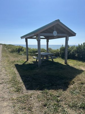 IMG_5674.jpeg