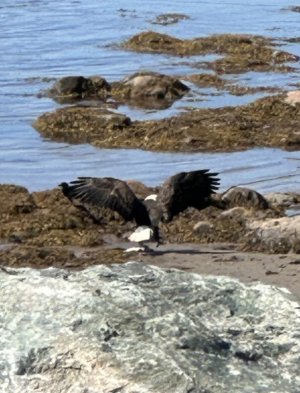 IMG_5703.jpeg